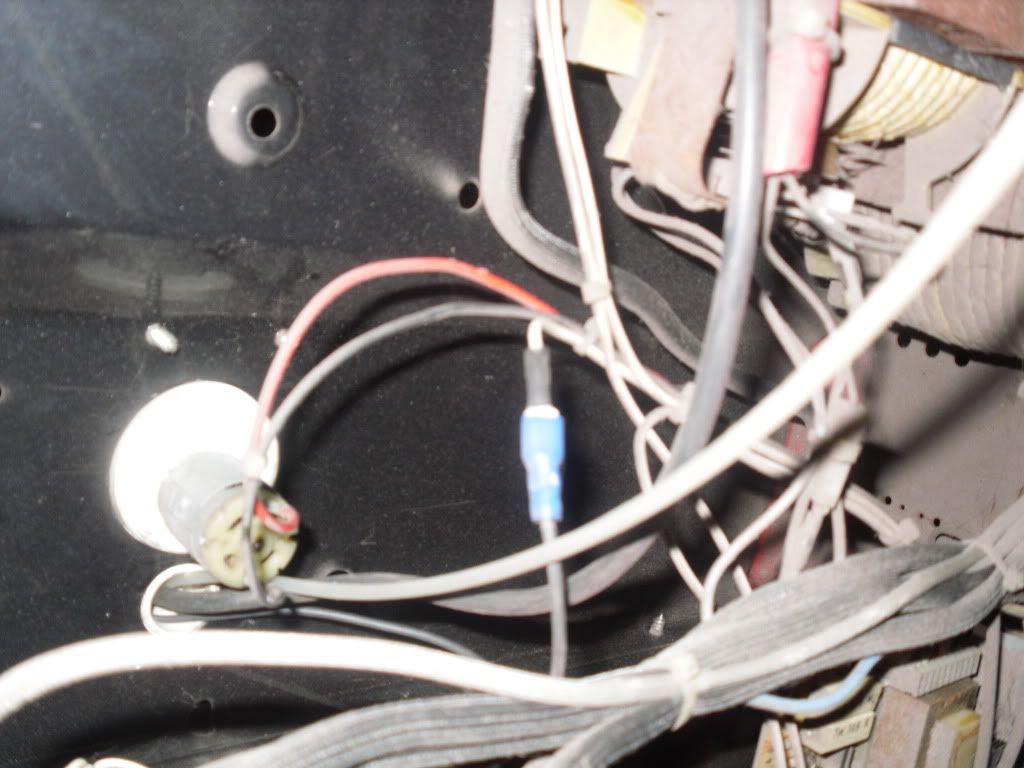 SDC11203.jpg