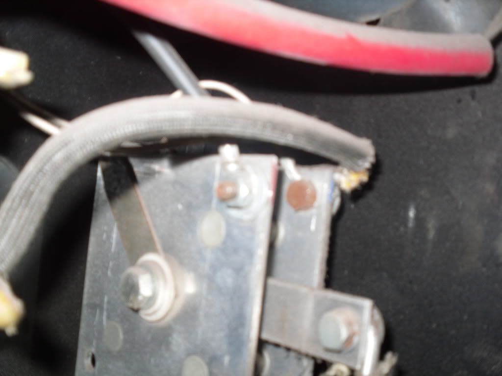 SDC11204.jpg