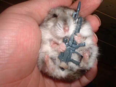 4720Armed20Gerbil.jpg