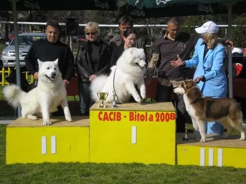 Качена снимка