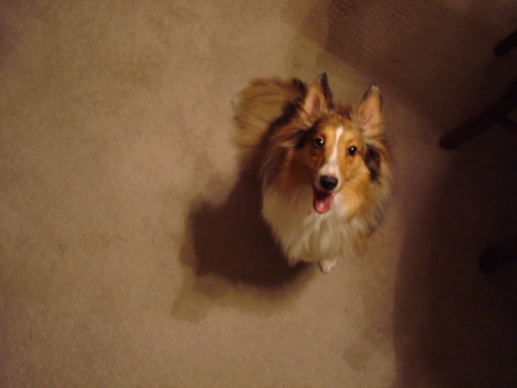 DSC00155.jpg