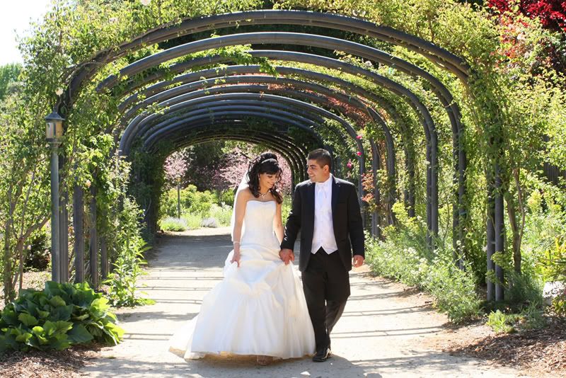 IMAGE: http://i153.photobucket.com/albums/s205/varuj/IMG_2508small-1.jpg