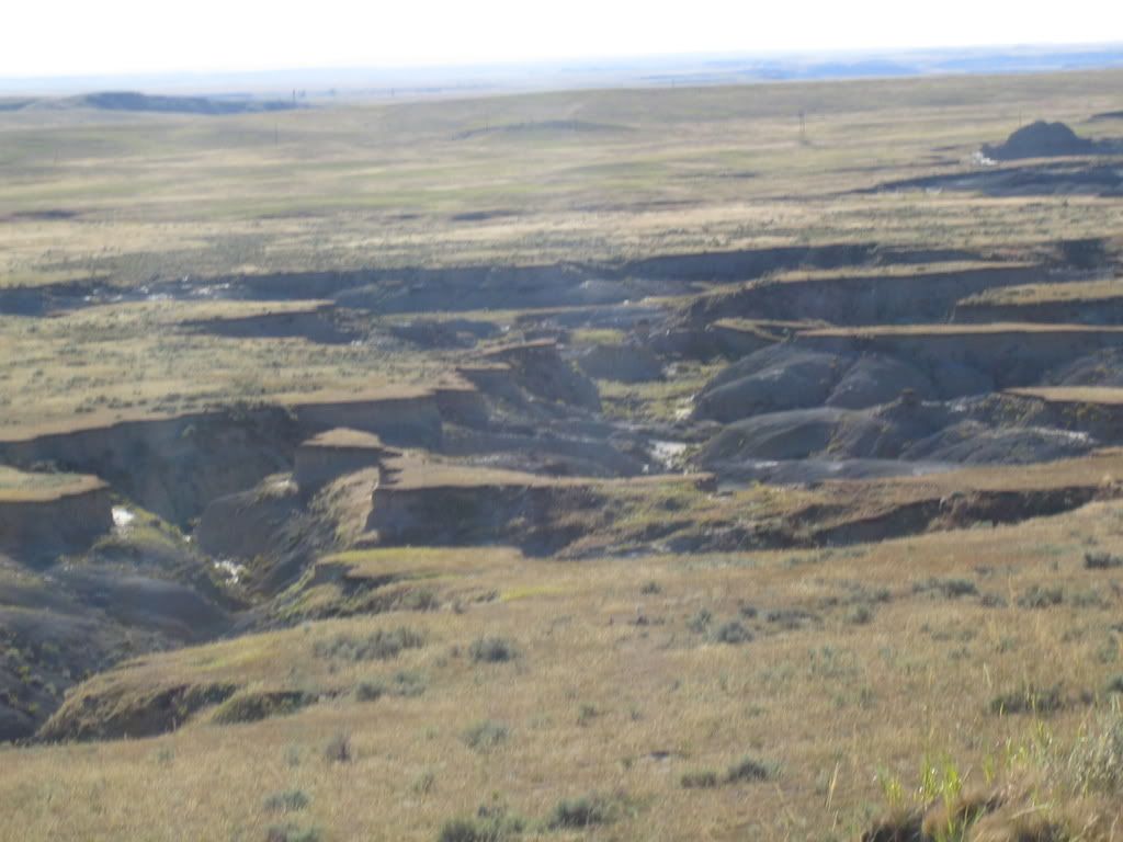 [Image: IMG_1171.jpg]