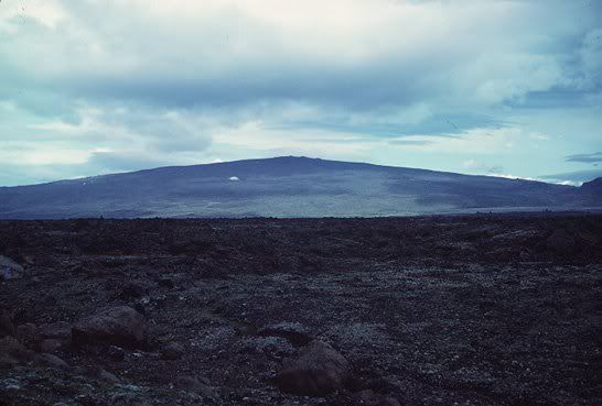 [Image: untitled.jpg]