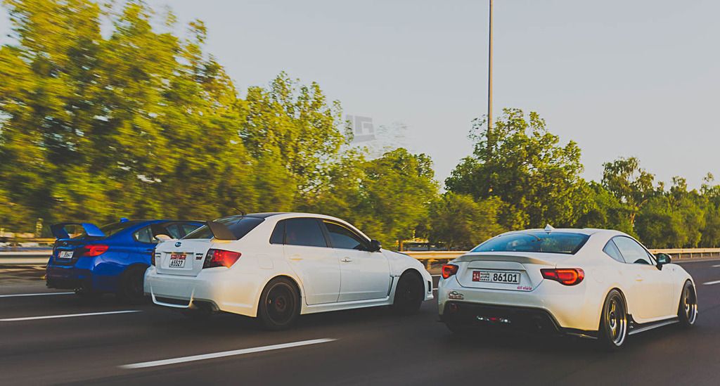 IMAGE: http://i153.photobucket.com/albums/s207/Blu_Scobbie/_DSC0321_zpsaiprt8ma.jpg