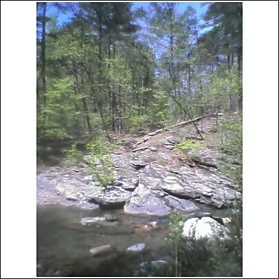 creek2.jpg