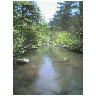 creek3.jpg
