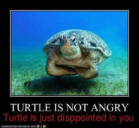Turtlefail