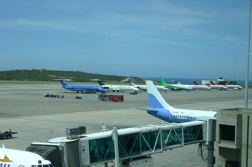 IMG_4018.jpg