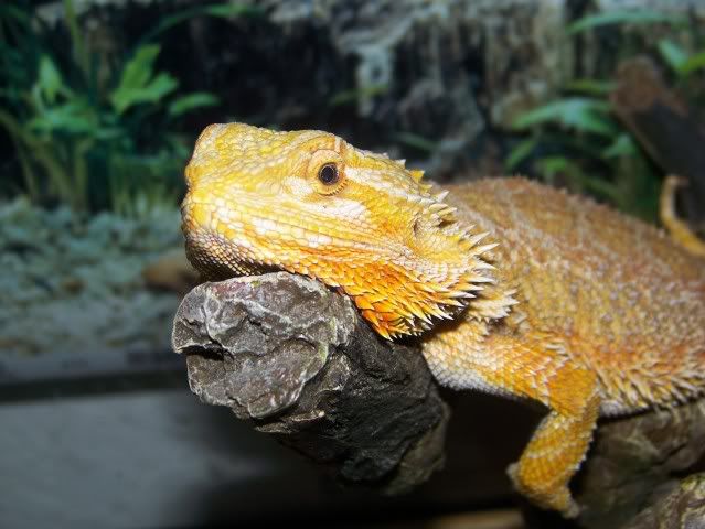 100_3775.jpg