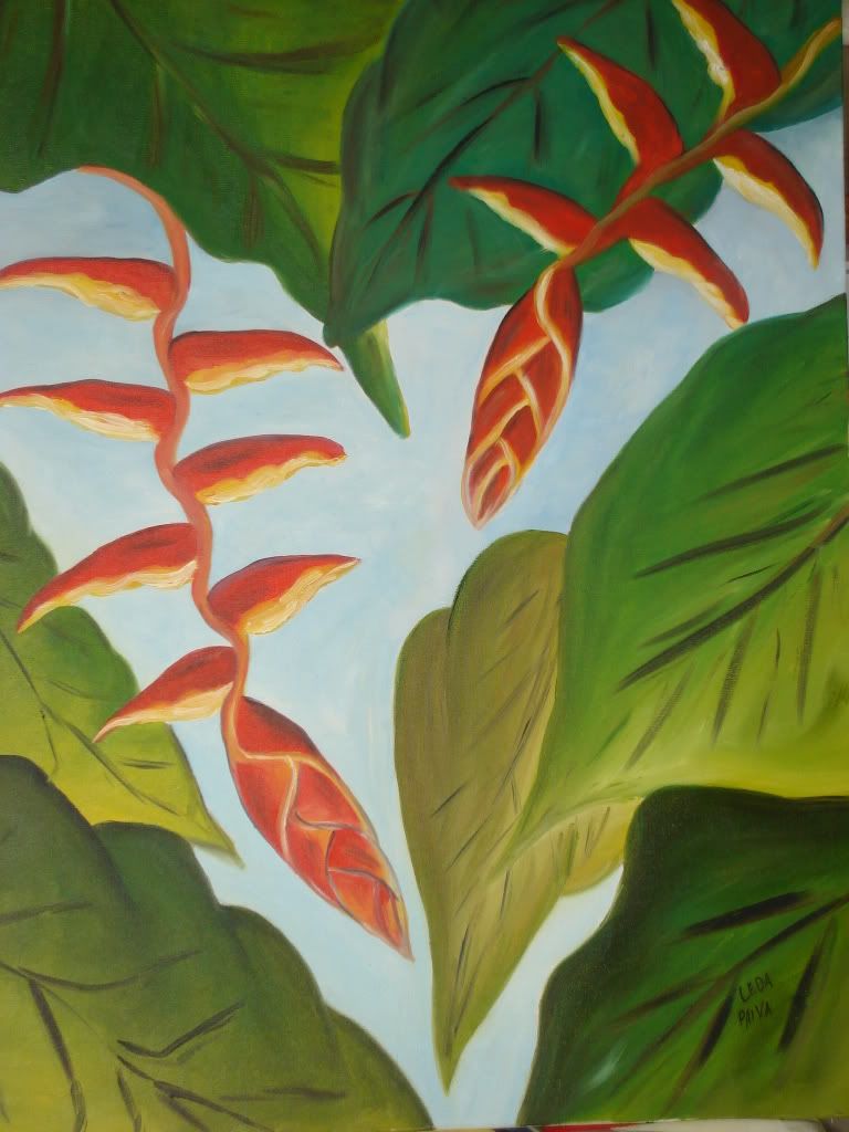 Bananeira vermelha - Amazonas
