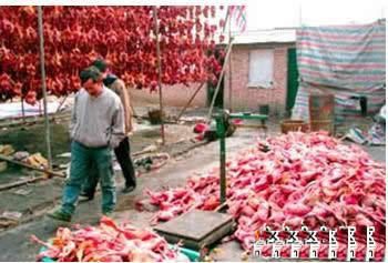 華人最殘忍的九道菜圖片3