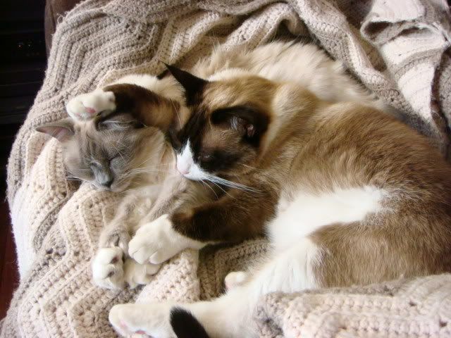 DSC01356.jpg
