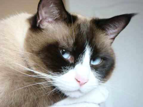 DSC02570.jpg