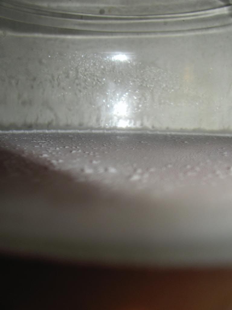 Pellicle Beer