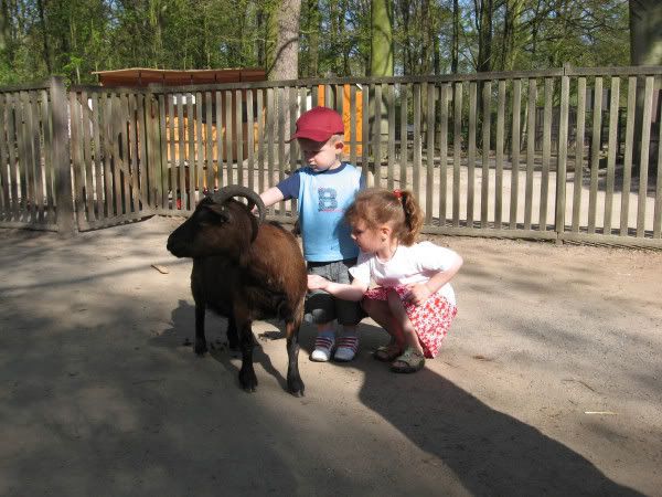 Klik op de afbeelding om de link te volgen
