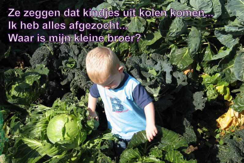 Klik op de afbeelding om de link te volgen