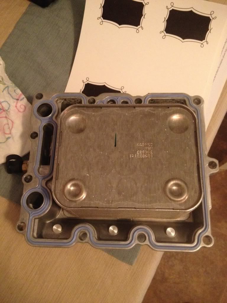 Brand New 6.0 Oil Cooler Ford Power Stroke Nation