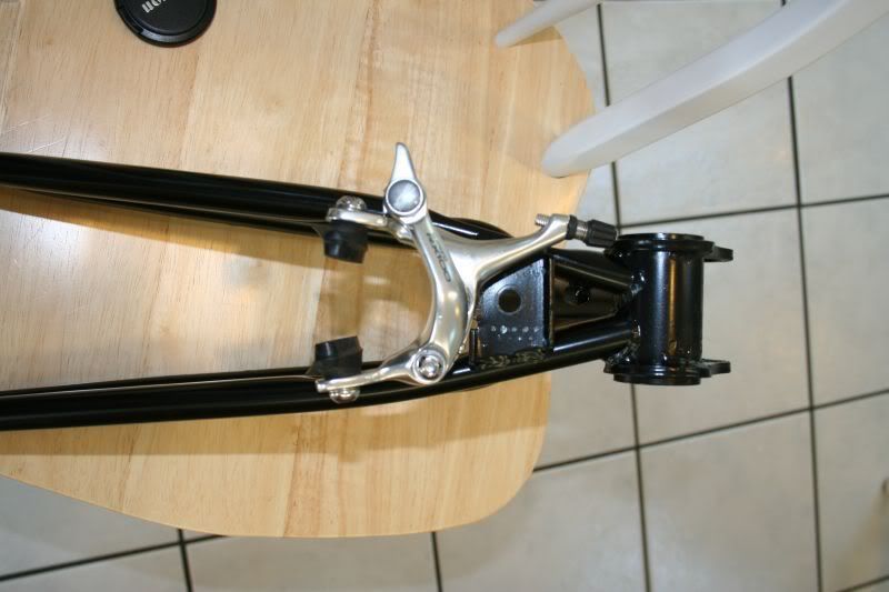 swingarm1.jpg