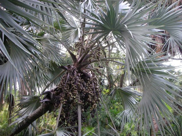 2006-10-1518-06-50_0017.jpg