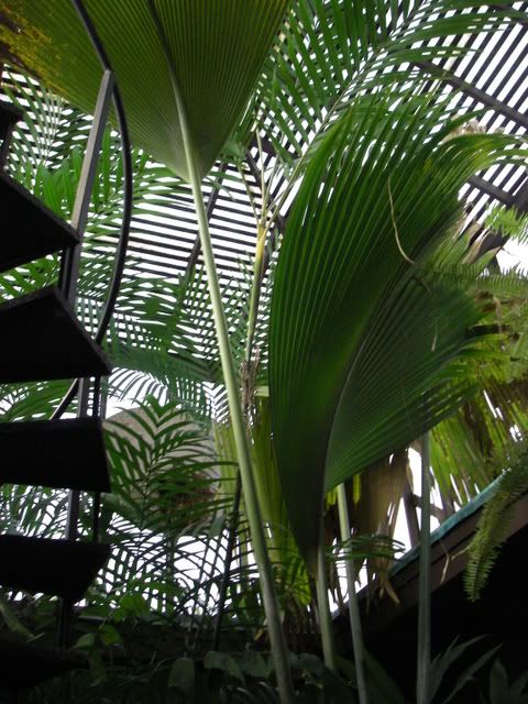 2007-2-25036-1.jpg