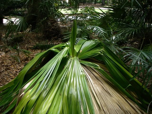 IMGP1159.jpg