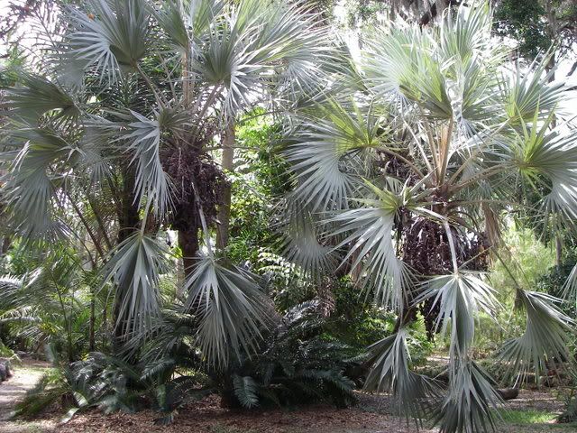 IMGP1257.jpg