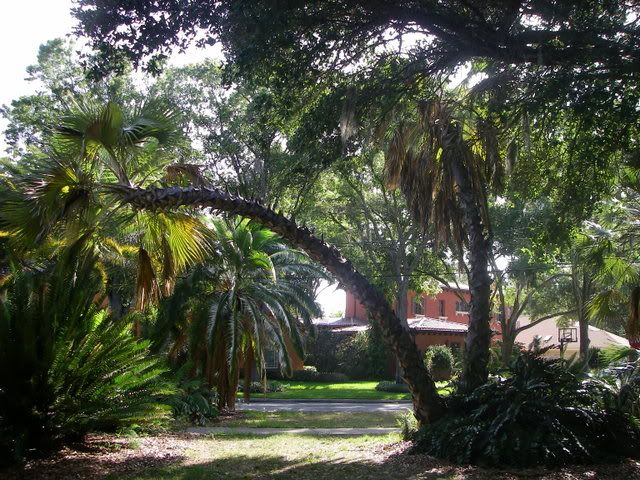 IMGP1416.jpg