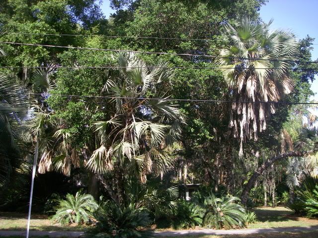 IMGP1425.jpg