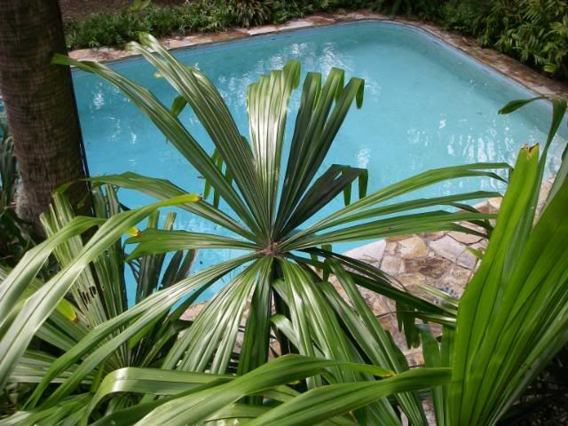 IMGP3281.jpg
