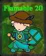 flamable20.jpg