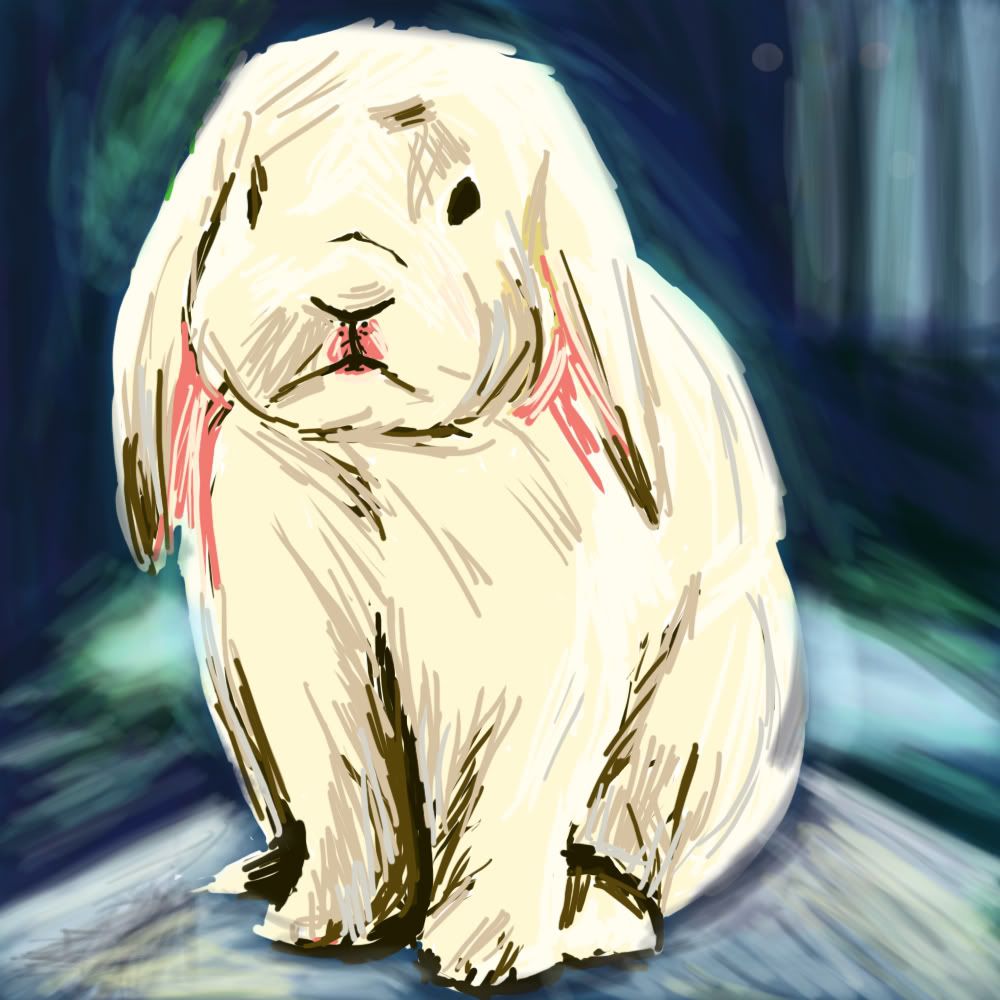 bunny.jpg