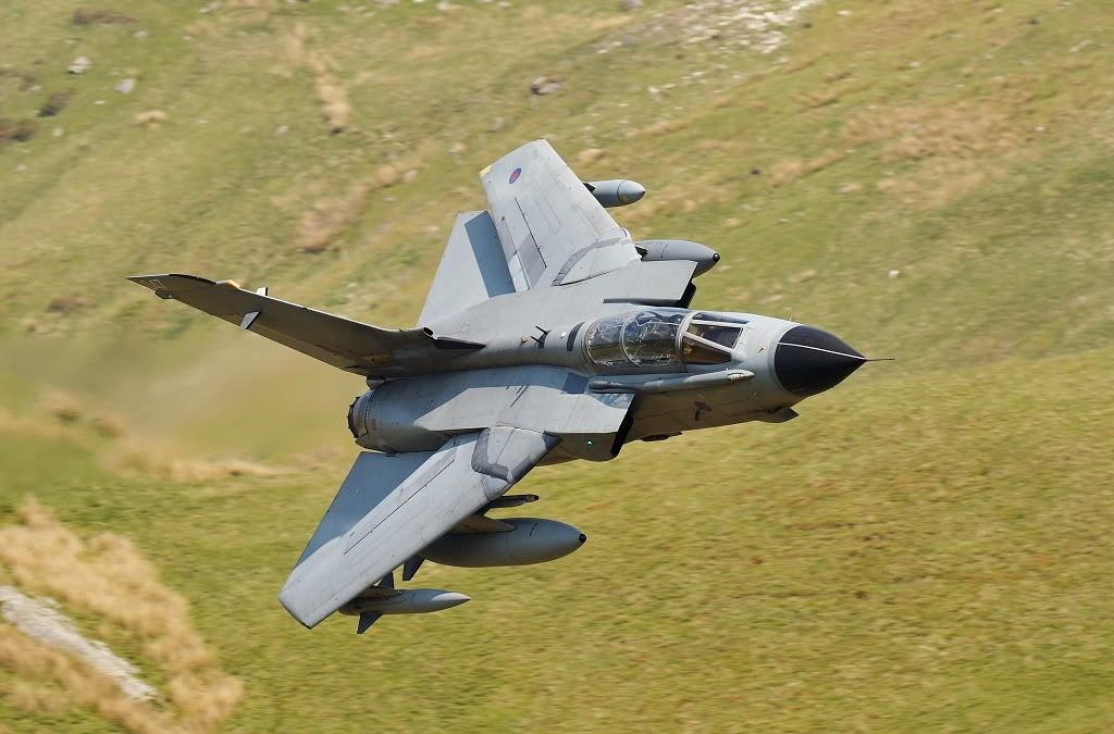 Garry-1024.jpg