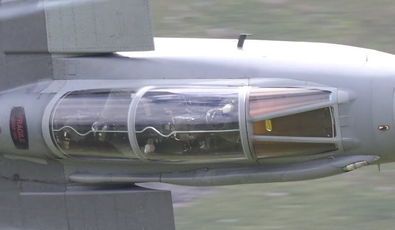 pilot.jpg