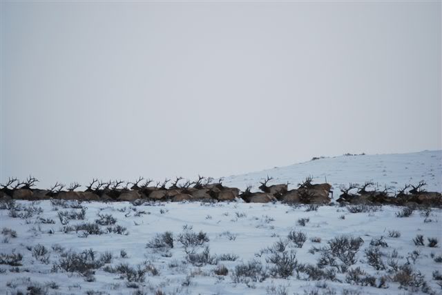 DSC_0007.jpg