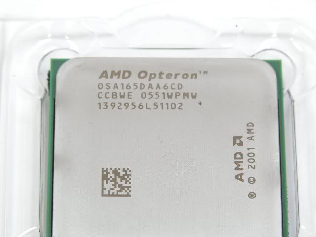 DSCN3155.jpg
