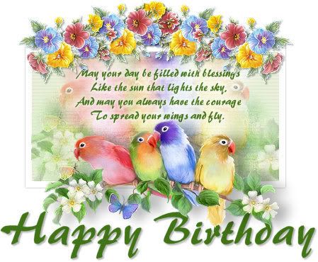 Image result for happy birthday parrot