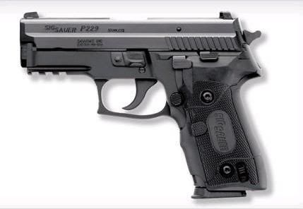 P229.jpg