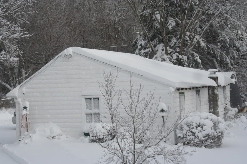 Snow2010-_002.jpg