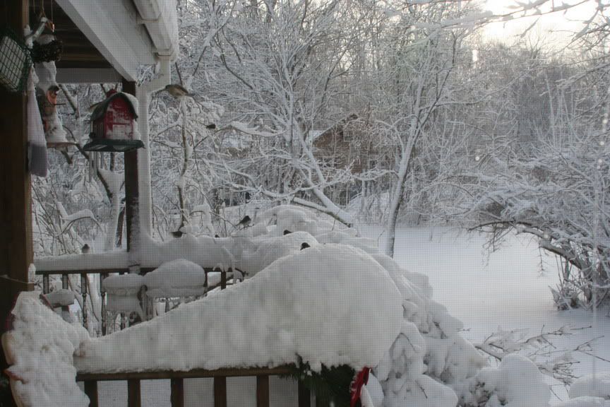 Snow2010-_003.jpg