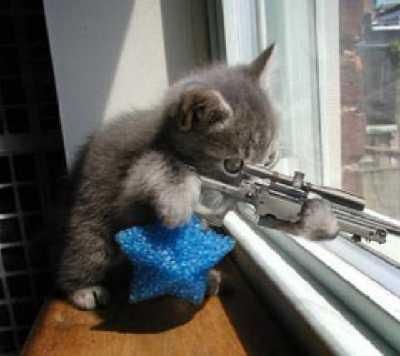 Kitty Hitman Pictures, Images and Photos