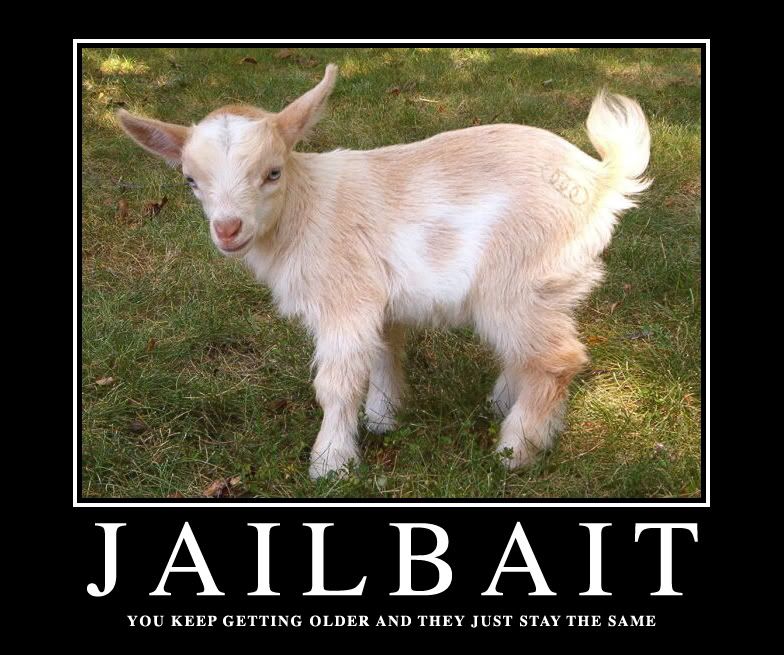 301 Moved Permanently