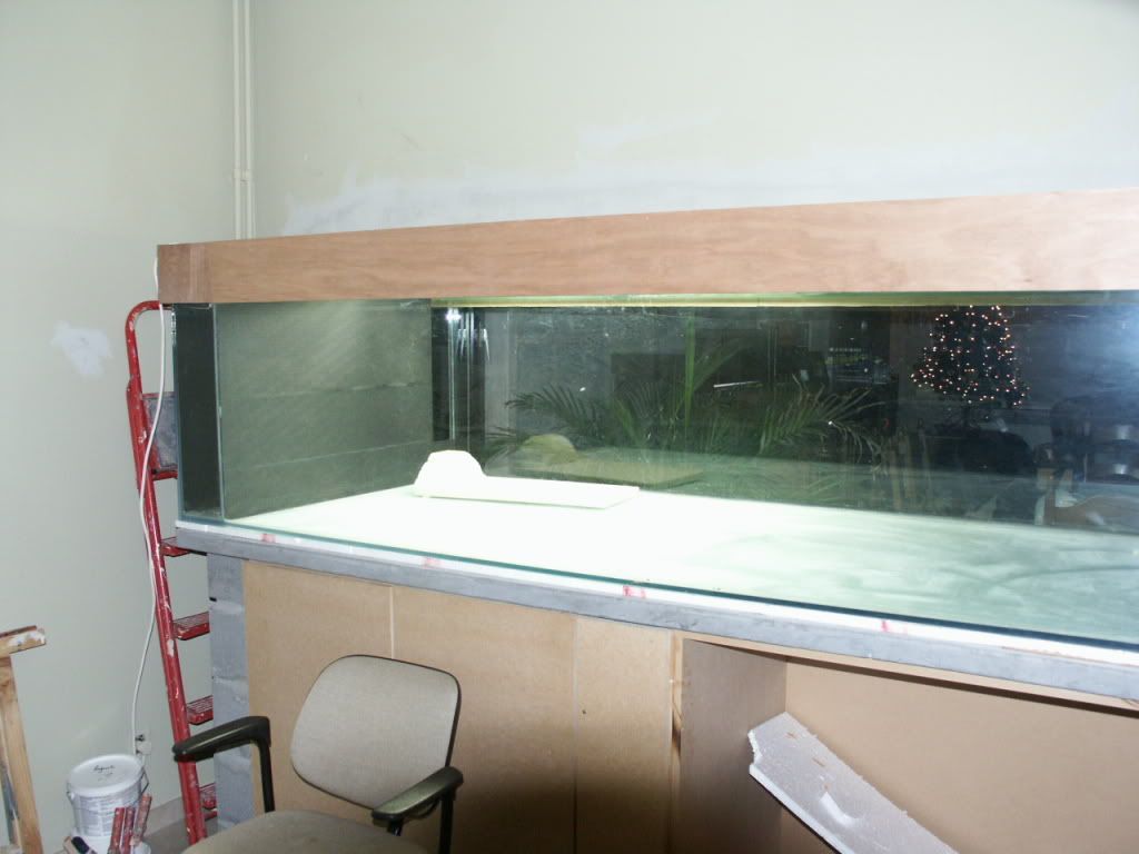 Toon onderwerp aquarium dirk