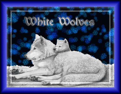 WhiteWolves.gif WhiteWolves image by Magic-Photo-Fun