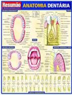 Resumão - Anatomia Dentária