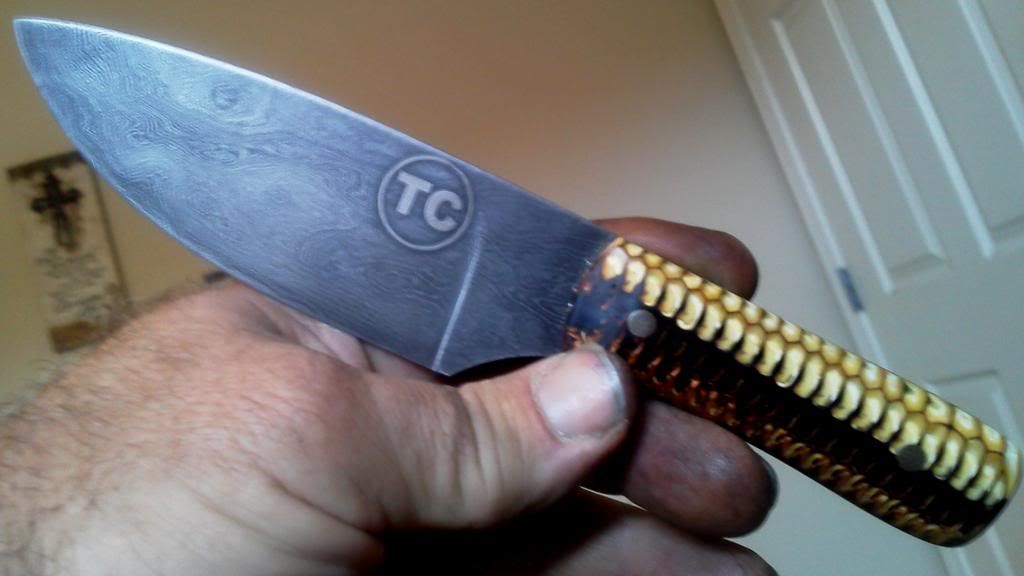 Corn on the cob and Damascus Photos Texas Hunting Forum