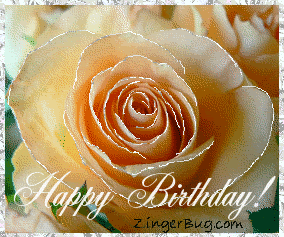 happy birthday peach rose Pictures, Images and Photos