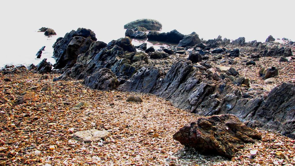 Photo Sharing and Video Hosting at Photobucket