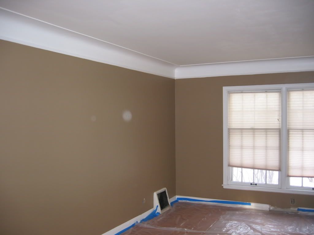 Behr Living Room