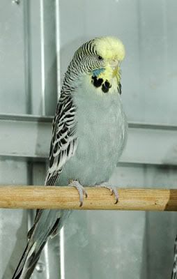 DSC_3405.jpg